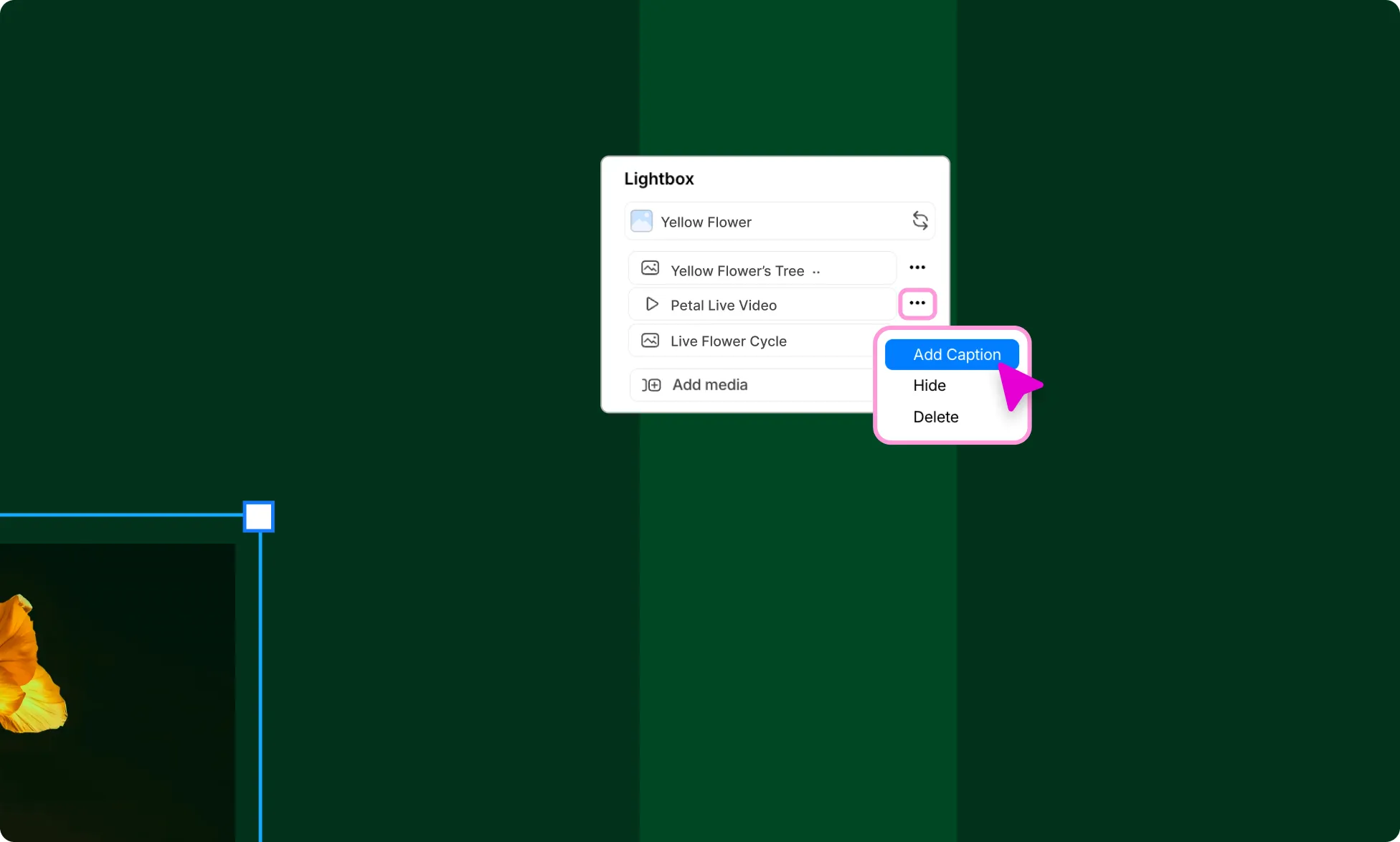 Add Captions to Lightbox Items