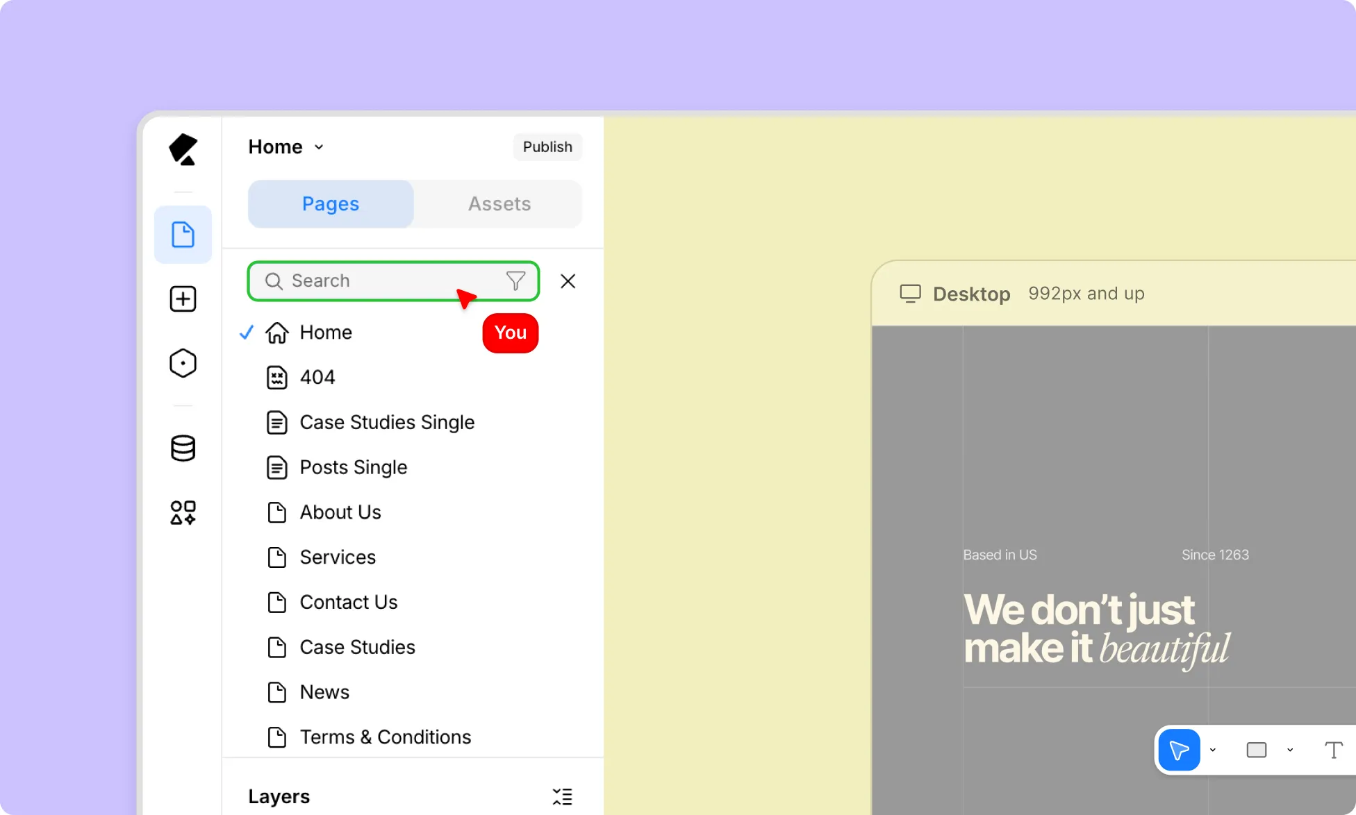 Search Options