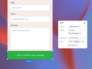 Form submission states of Kirki form with a successfully submitted form preview