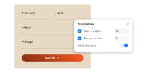 Preview of the spam protection Form Options panel