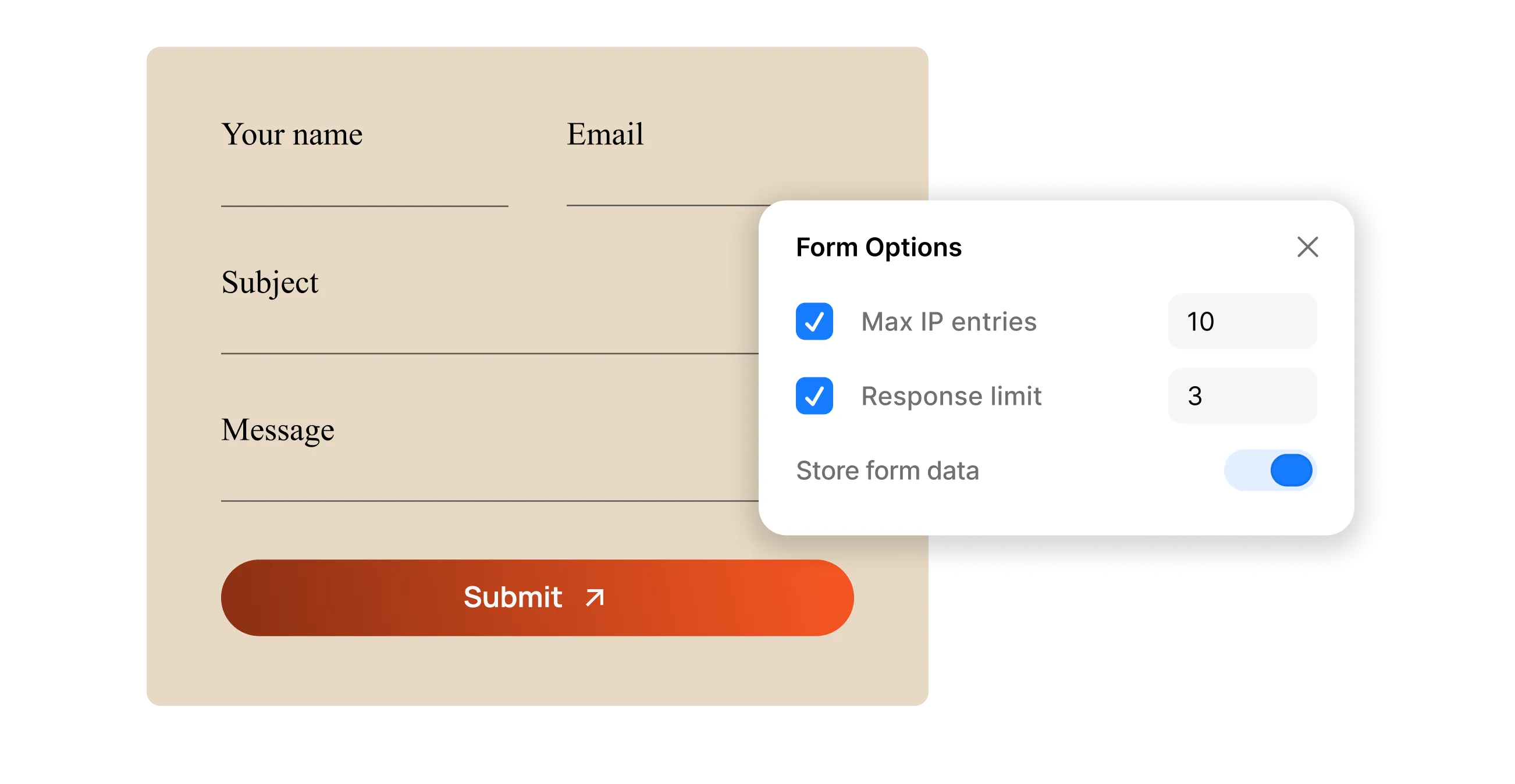 Preview of the spam protection Form Options panel