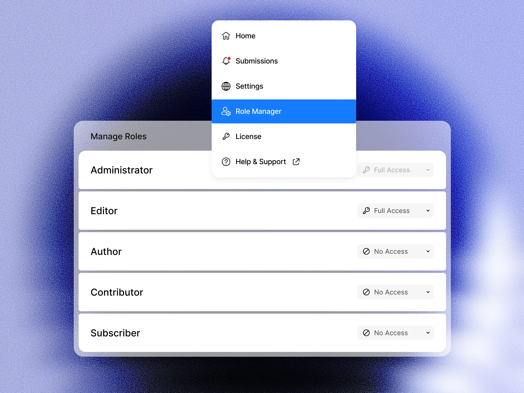 Role manager with access options