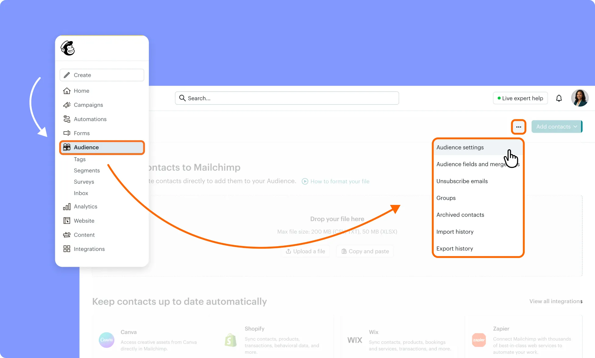 Audience name settings for MailChimp form configuration